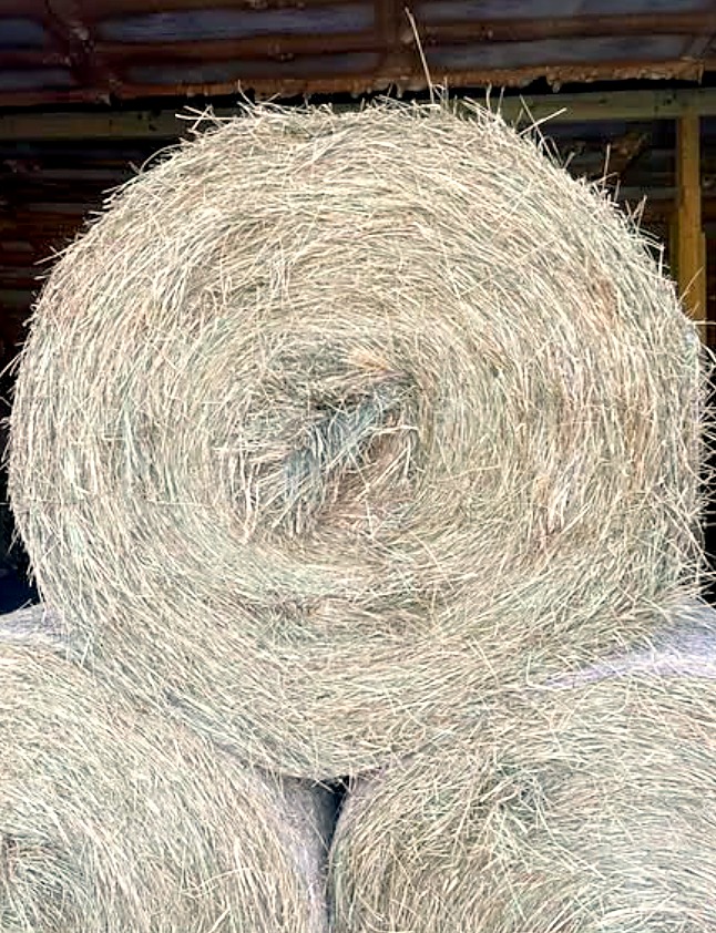 Round hay bale