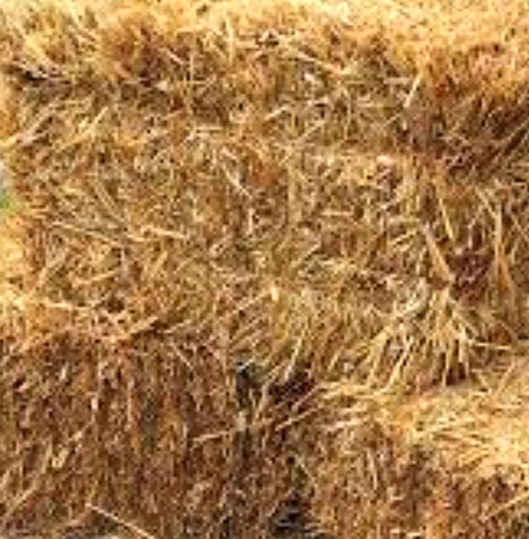 Close-up texture of a straw bale